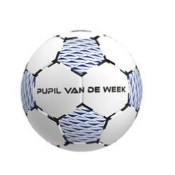 Alternative view of Pupil van de week bal 2.0 - Rebel