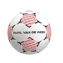 Pupil van de week bal 2.0 - Rebel