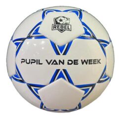 Alternative view of Pupil van de week bal 3.0 - Rebel